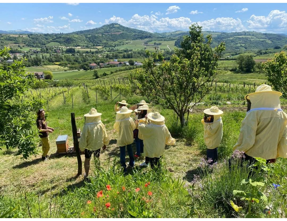 In viaggio per l’Italia con le api, un giorno alla scoperta di mieli e alveari