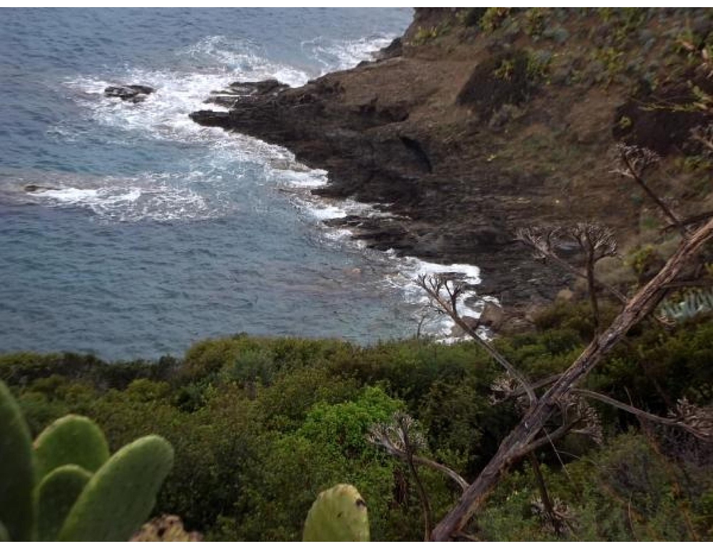 Morta subacquea all’Elba, ipotesi malore in immersione
