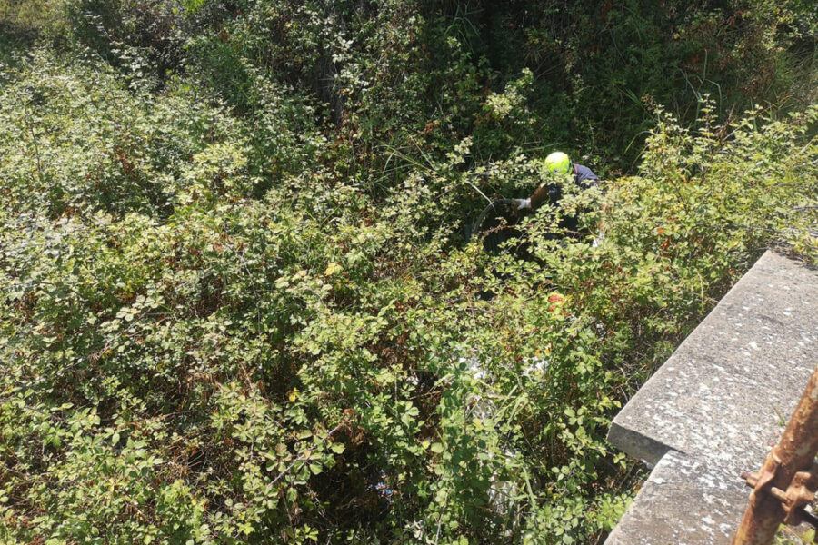 Incidente in un'area boschiva difficile da raggiungere