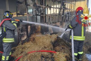 Fieno in fiamme in un cascinale ad Appiano Gentile, salvi gli animali