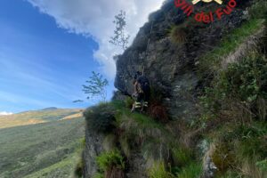 Garzeno, capre predate dai lupi. Una precipita in un dirupo e viene salvata dai vigili del fuoco