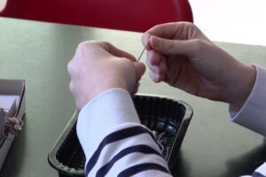25 milioni per l’inclusione lavorativa, Locatelli: “Passo concreto per i giovani con disabilità”