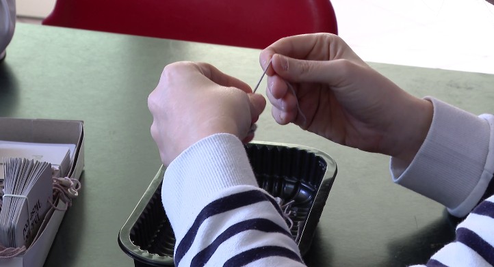 25 milioni per l’inclusione lavorativa, Locatelli: “Passo concreto per i giovani con disabilità”