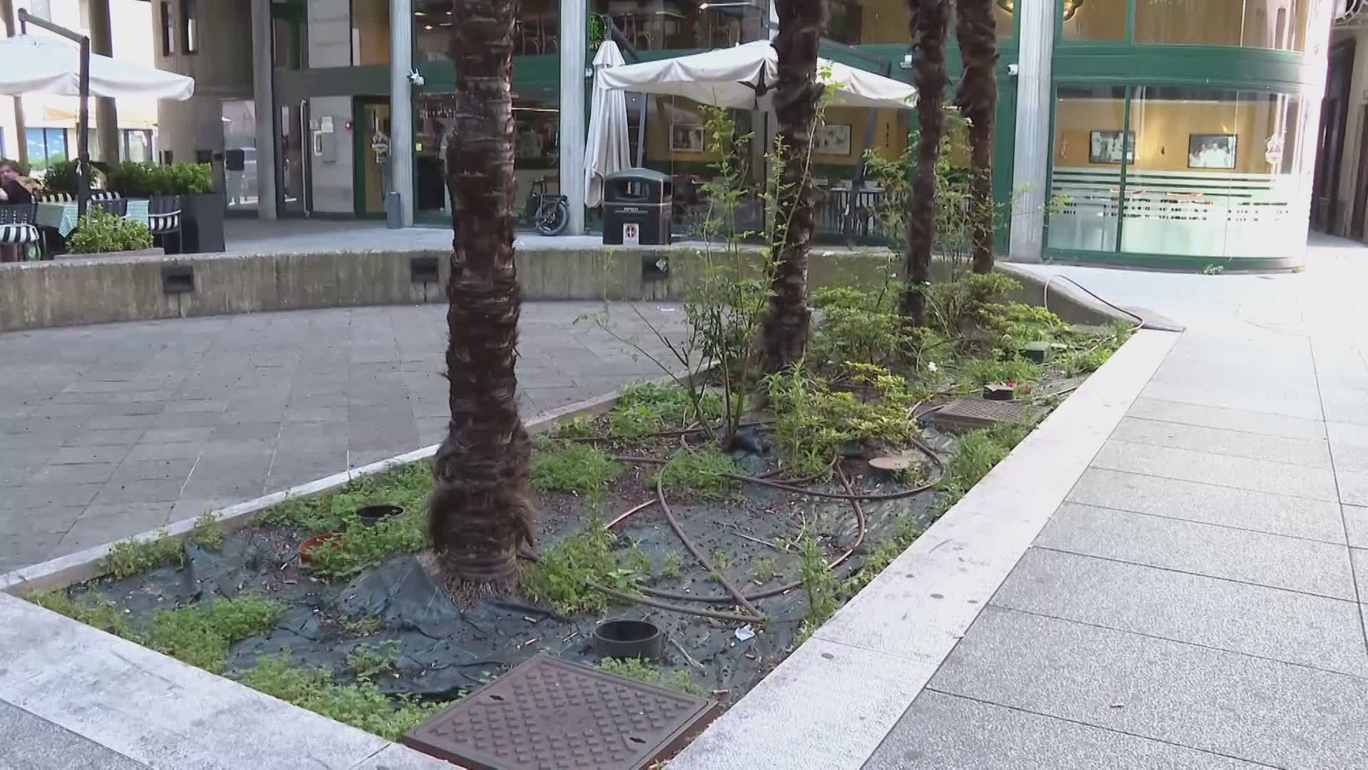 Como, degrado e insicurezza in piazza Gobetti. Residenti esasperati, il sindaco: “Ho le mani legate”