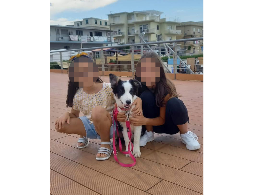 ++ Il tutore delle due sorelle, ‘obiettivo recupero rapporto col padre’ ++