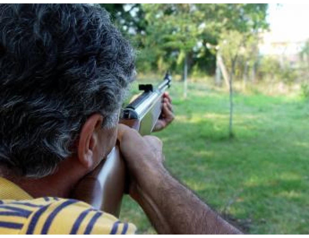Caccia, associazioni unite contro il ddl "sparatutto"