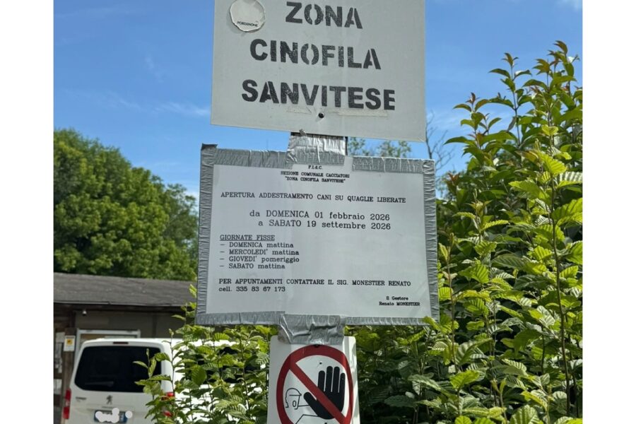 E' accaduto stamani nel Pordenonese