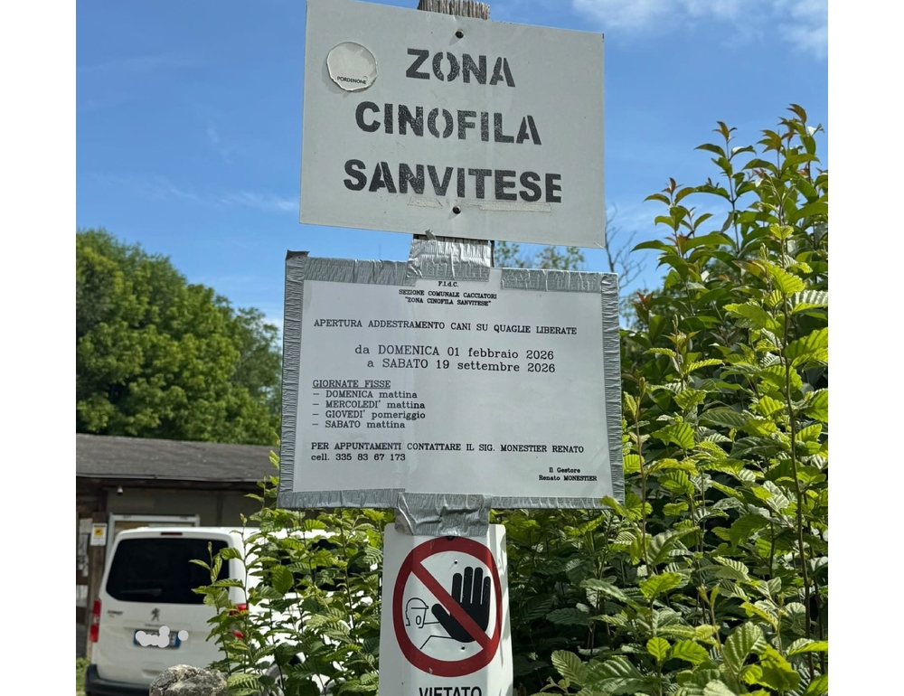 Cacciatore spara a una quaglia ma centra e ferisce un runner