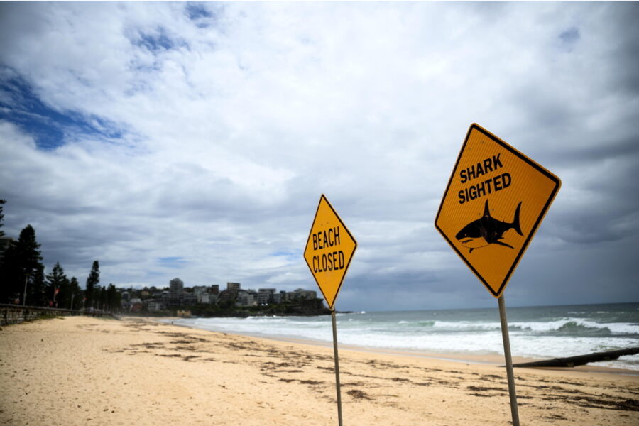 L'attacco a Coogee Beach. La vittima ha 30 anni