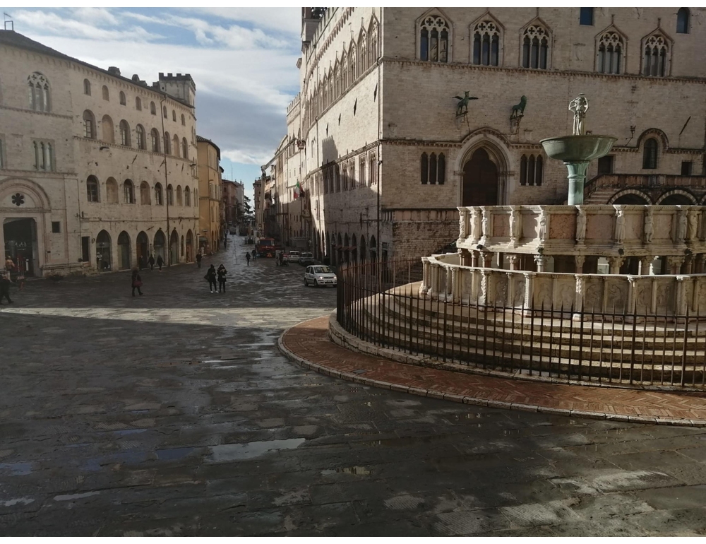 Il padrone sta male e Perugia si mobilita per il cane mascotte del centro