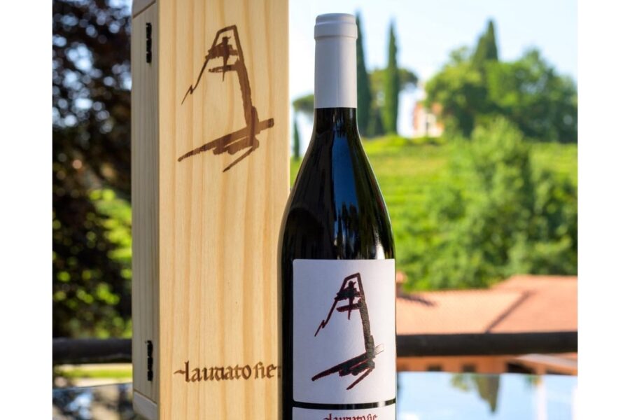 Blend rosso in 5mila bottiglie. In attesa della vigna voluta da Francesco