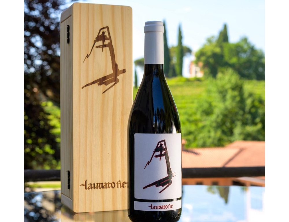 In Fvg si produce il vino ‘Laudato Sie’ per il Vaticano con finalità sociali