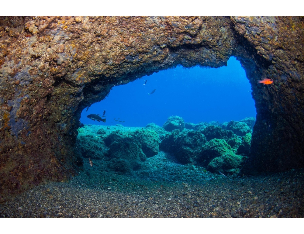 In un anno oltre 300 illeciti ambientali nelle aree marine protette
