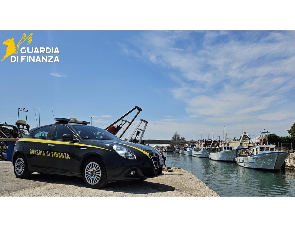 Invalido su sedia a rotelle ma camminava in video sui social, denunciato