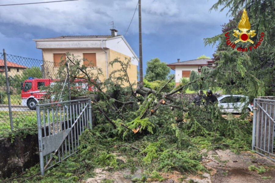 Segnalazioni soprattutto su Udine per alberi caduti e allagamenti