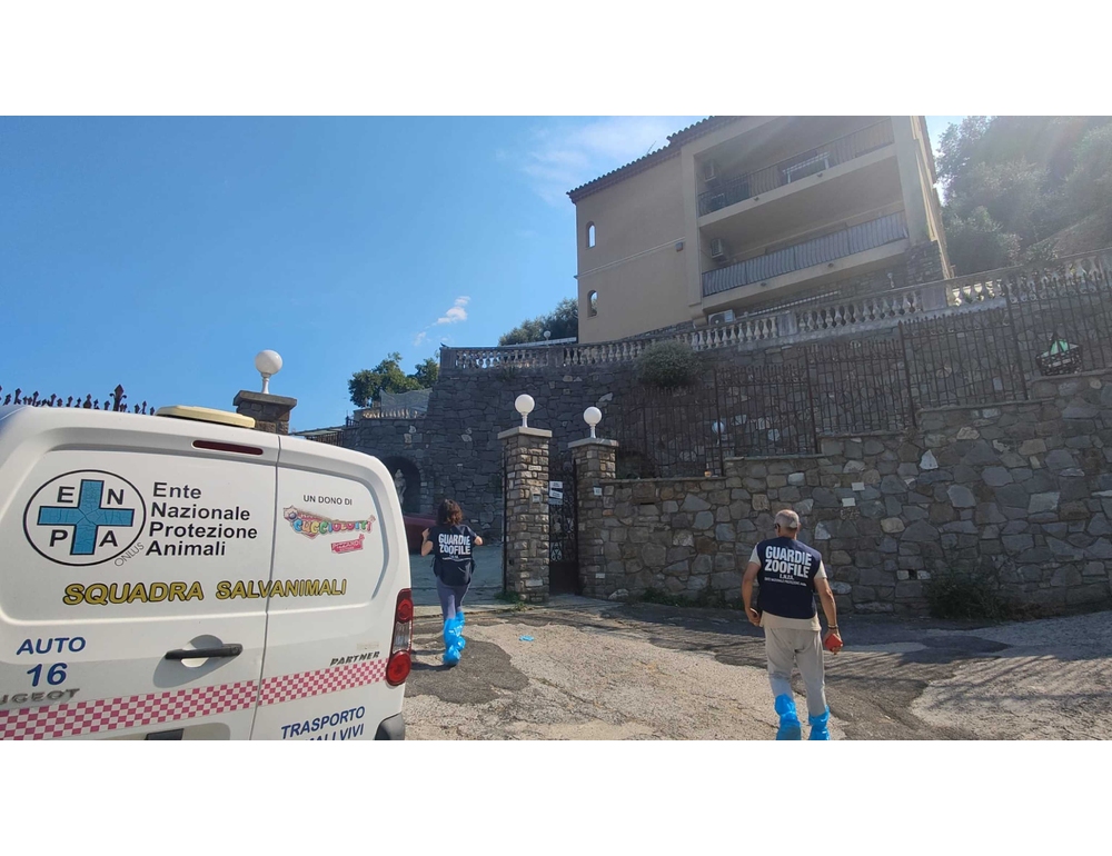 Oltre 460 animali in casa e in giardino, indagini a Sanremo