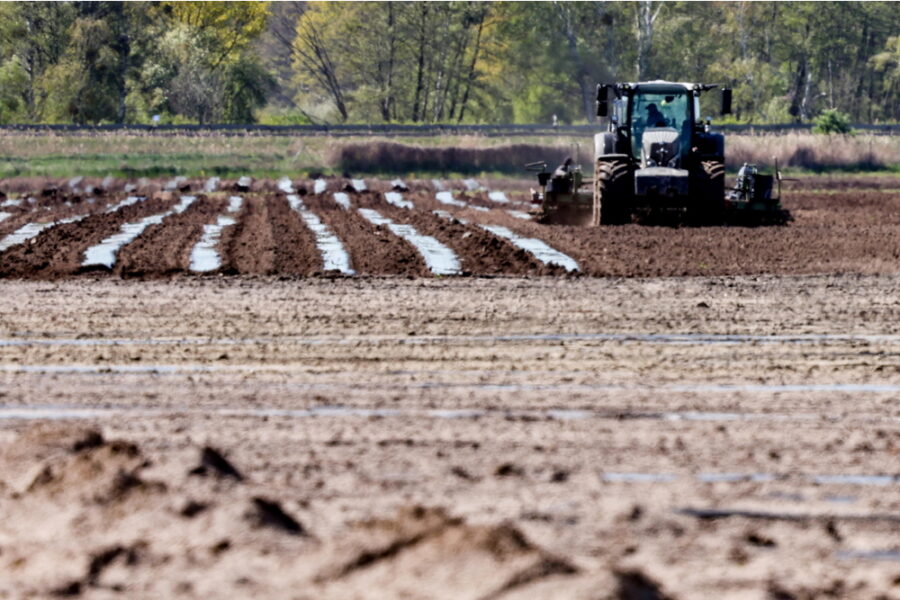Impegnato nei terreni di un'azienda agricola nel Bresciano