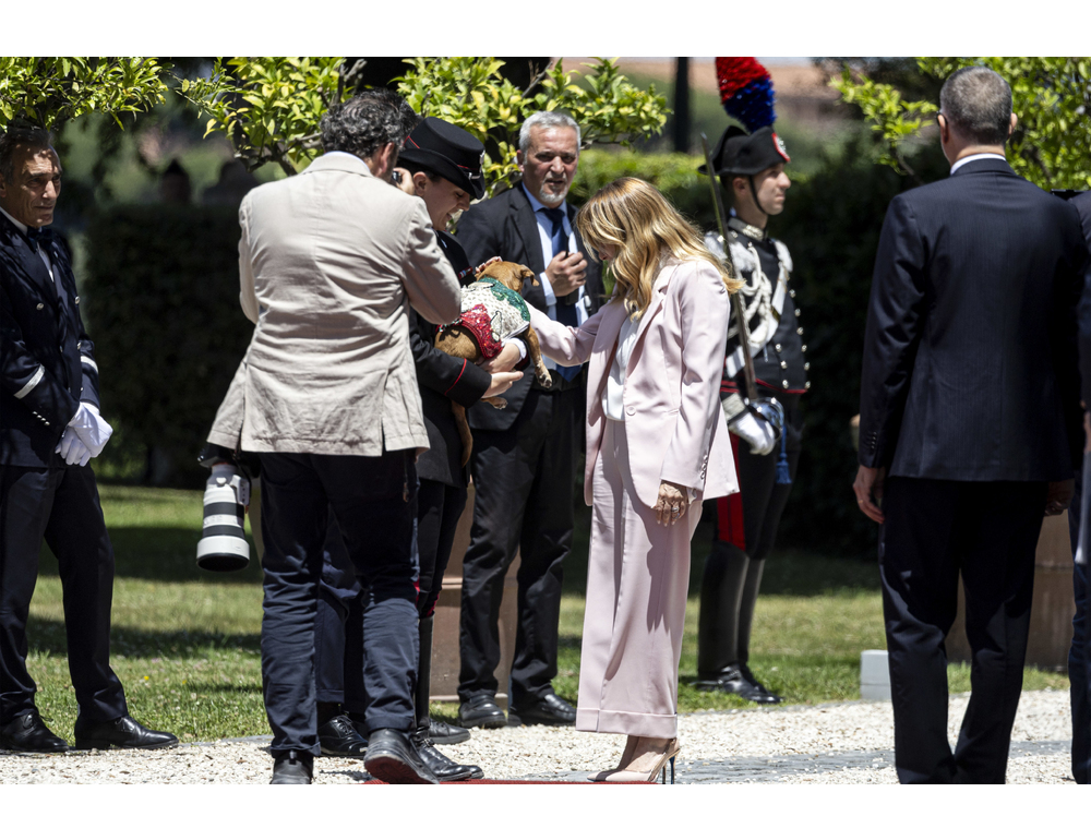 Per Meloni foto ricordo con Briciola, la cagnetta mascotte dei carabinieri