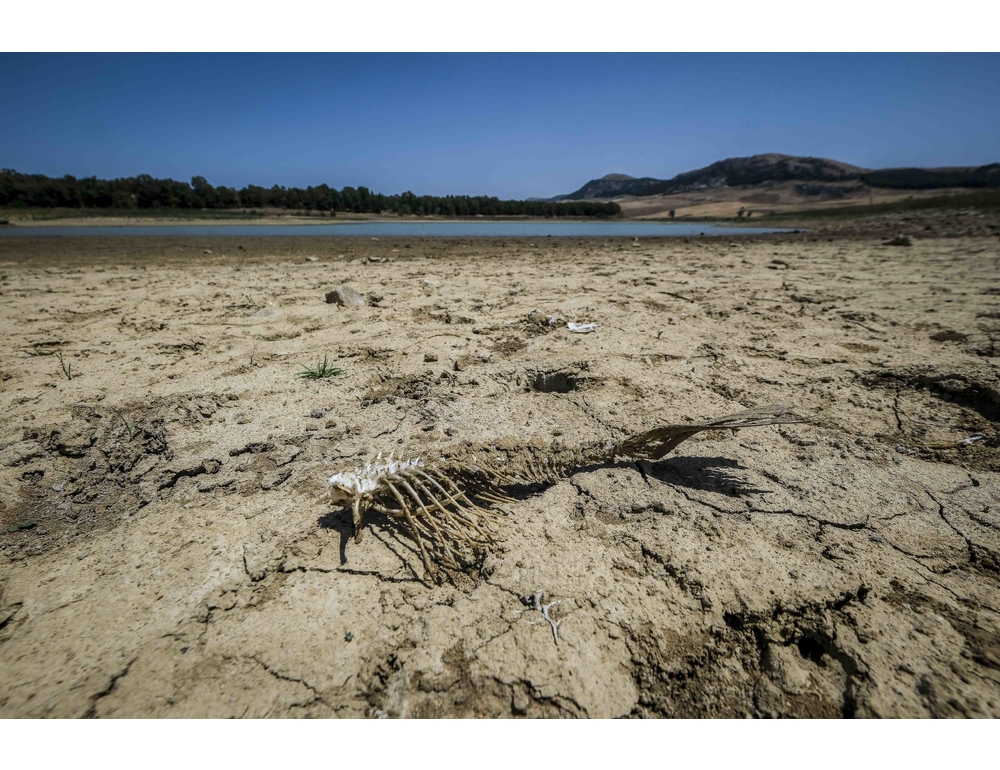 Siccità e agricoltura, una mappa individua le colture più vulnerabili