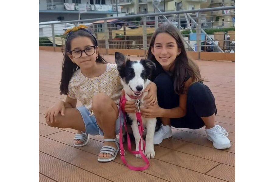'Operatrice infastidita interrompe una telefonata di Sarah con il genitore'