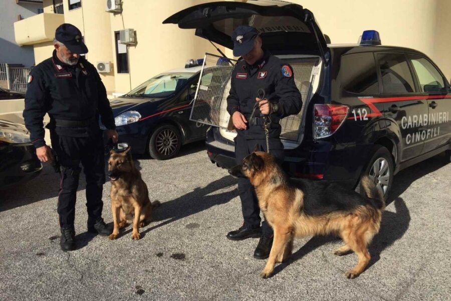 Senza esito la segnalazione arrivata ieri alle forze dell'ordine