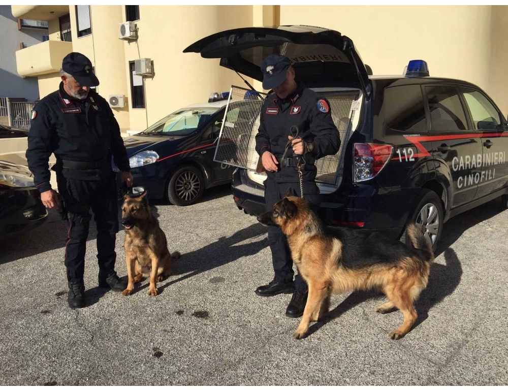 Sorelle scomparse: per le ricerche impiegati anche cani da ‘mantrailing’