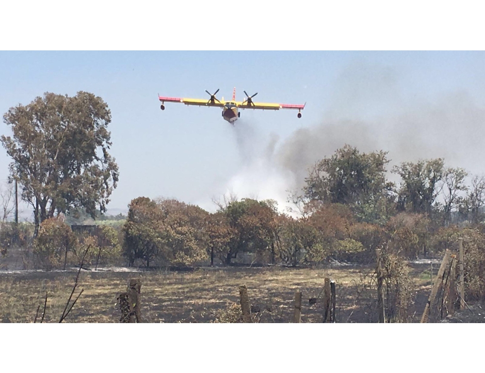 Trenta incendi divampati oggi in Sardegna, indagini della Forestale