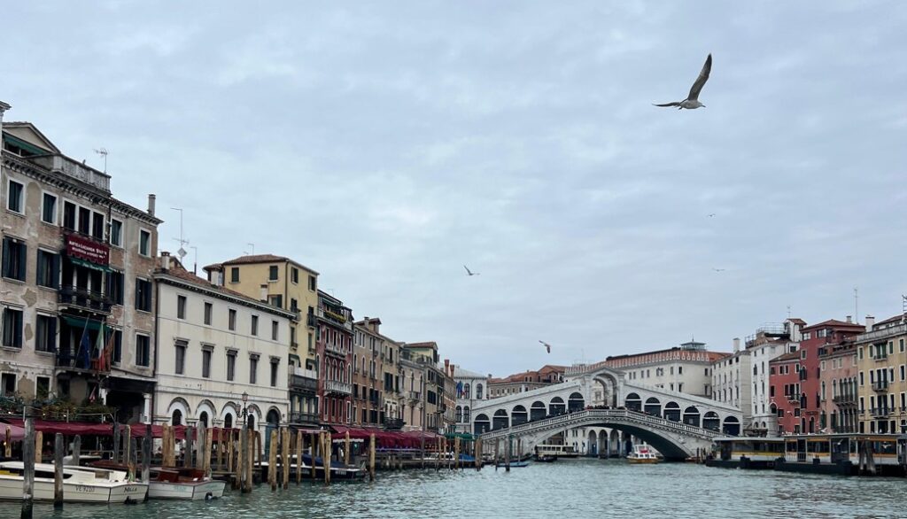 Venezia, l'ipotesi del ticket d'accesso fino a 50 euro. Gli albergatori: 