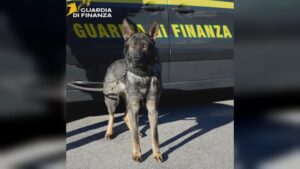Evento techno ad Alta Valle Intelvi, i finanzieri scoprono e sequestrano la droga