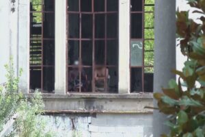 Area Ticosa, non bastano lucchetti e recinzioni, nella Santarella si entra ancora