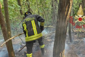Incendio in Spina Verde, coinvolti 700 metri quadri di bosco, in azione vigili del fuoco e volontari