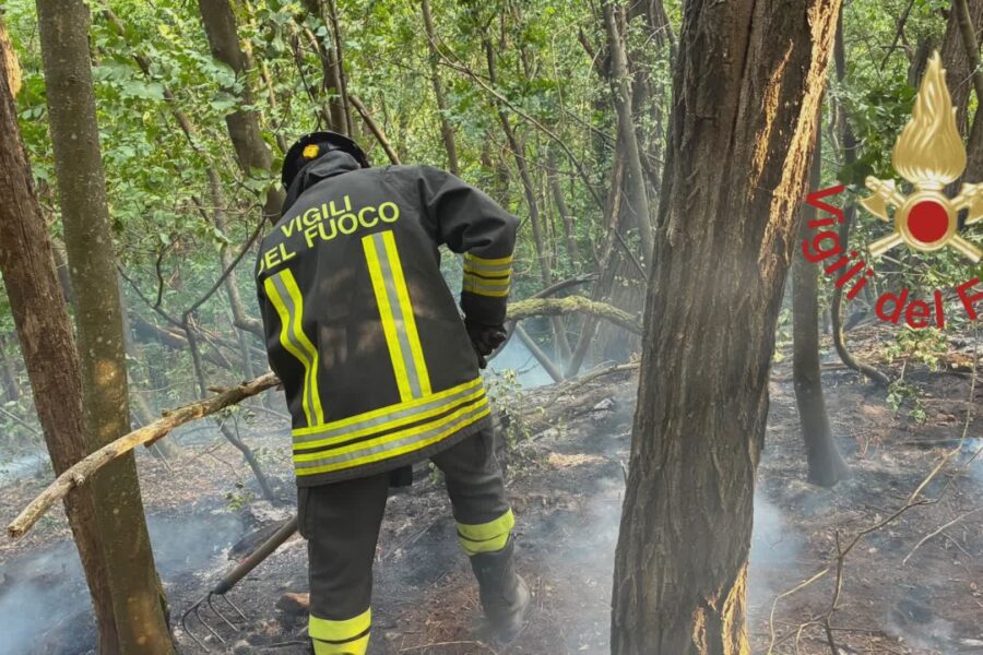 13181 Incendio in Spina Verde coinvolti 700 metri quadri di bosco in azione vigili del fuoco e volontari 1784108242