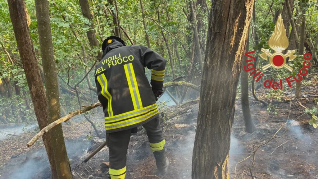 Incendio in Spina Verde, coinvolti 700 metri quadri di bosco, in azione vigili del fuoco e volontari