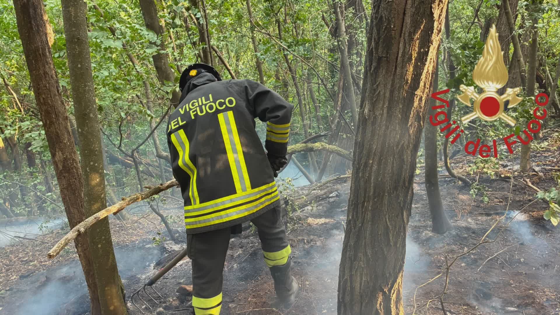 Incendio in Spina Verde, coinvolti 700 metri quadri di bosco, in azione vigili del fuoco e volontari