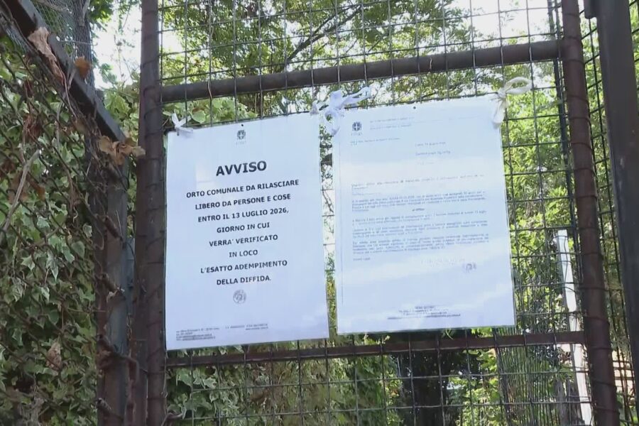 13253 Orti sociali Nova Como Rapinese se la prende con gli orti per fare notizia e coprire quattro anni di niente 1784133994