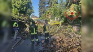 Erba, albero cade su un furgone. Illeso il conducente