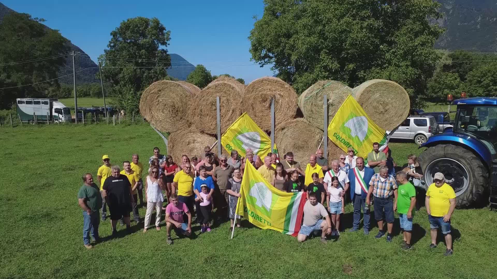 12.000 chili di fieno per salvare gli allevatori porlezzesi dopo i danni della fauna selvatica