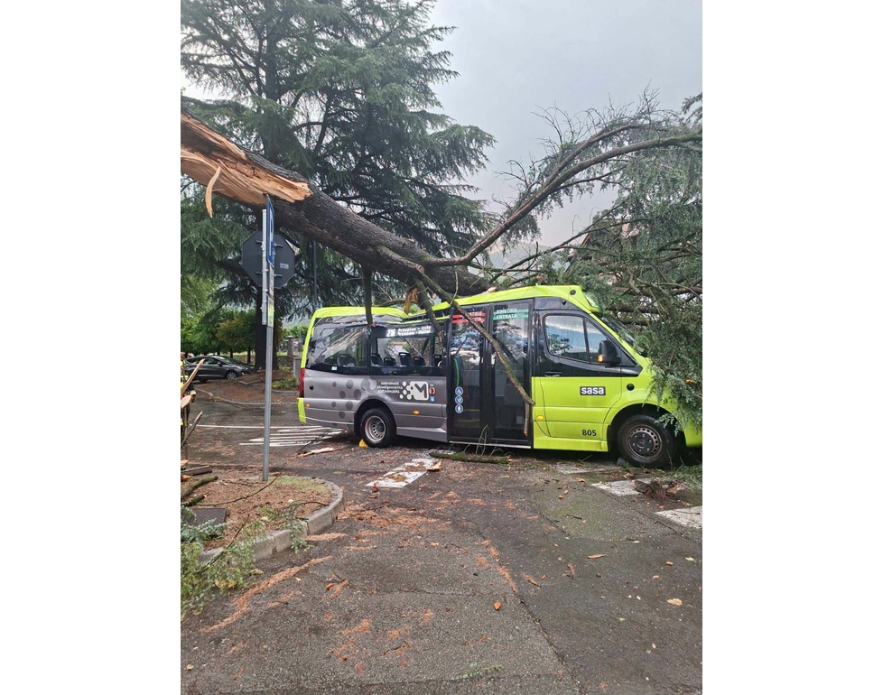 Albero cade su bus di linea durante un temporale in Alto Adige