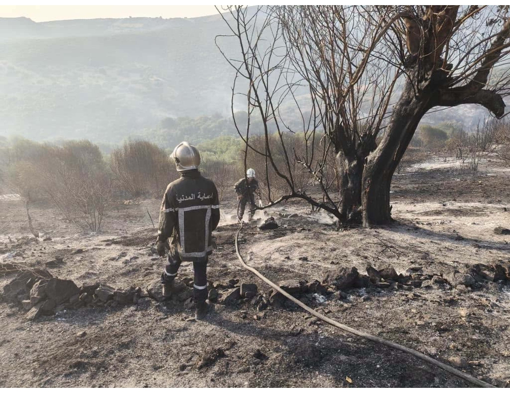 Algeria, 119 incendi in 33 province, in azione anche i mezzi aerei