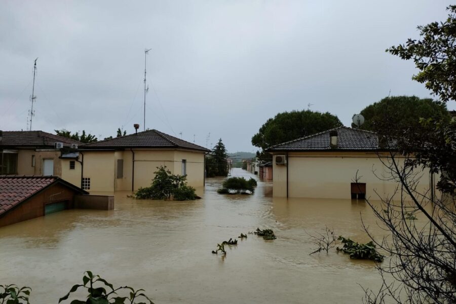 I pm contestano una "lunghissima e perdurante catena di negligenze e omissioni"