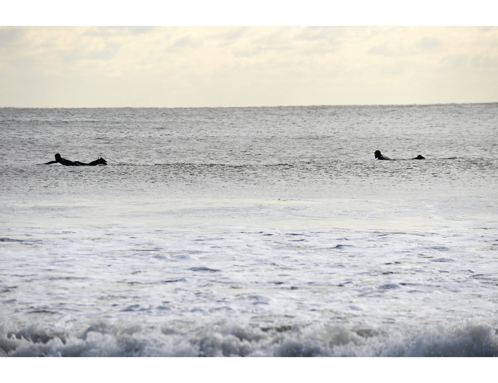 Avvistati squali, chiusure in una popolare spiaggia di New York