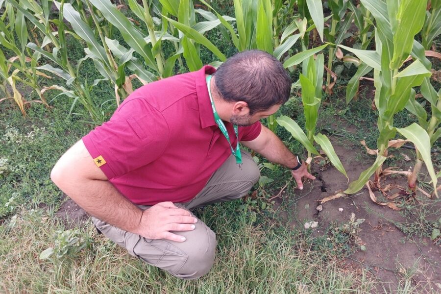 Gli agricoltori