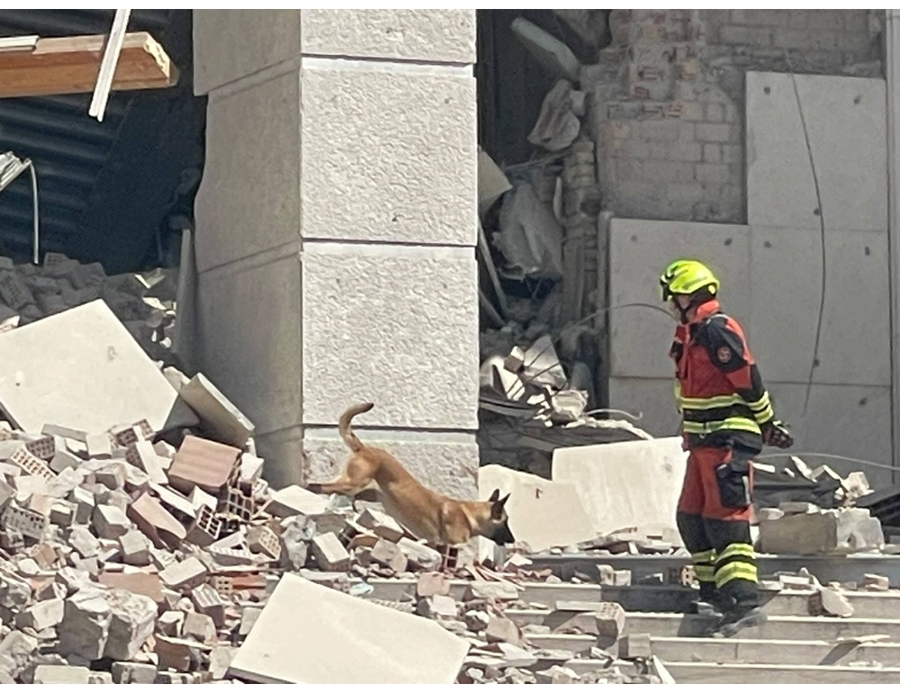 Crollo Tribunale, in corso sopralluogo con i cani per accertamenti