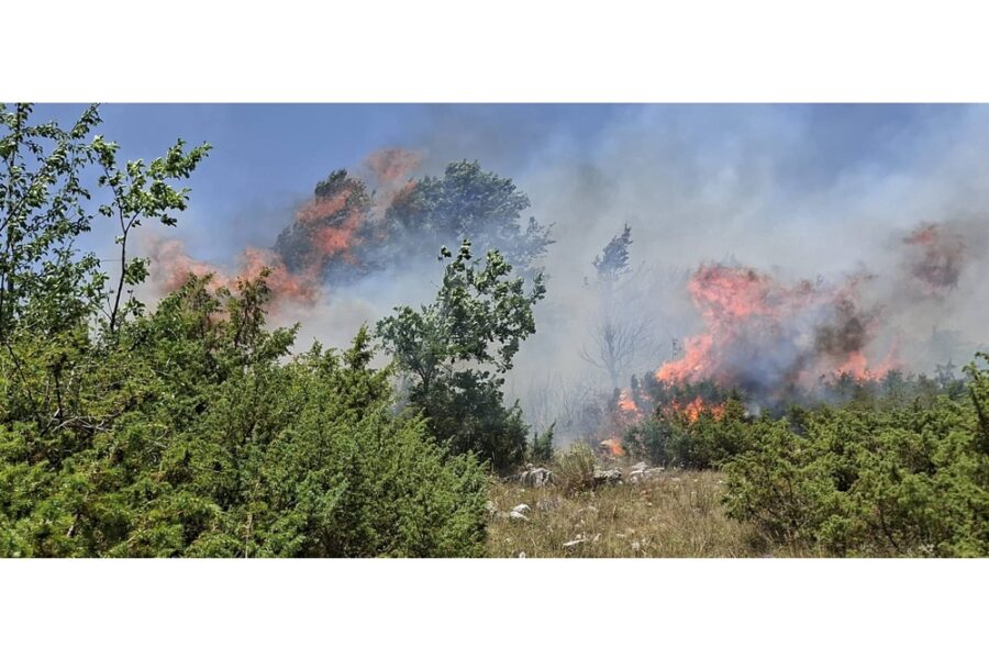Il rogo nel Comune abruzzese divampato ieri sera a causa di un barbecue