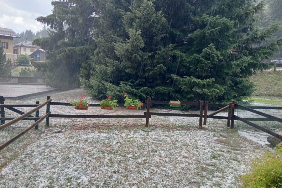 Chicchi grandi come noci a Bardonecchia