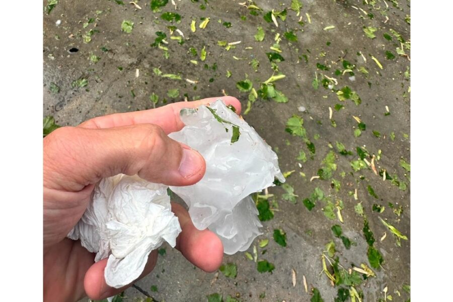 'Serve sostegno a imprese. Avviare la mappatura dei danni provocati'