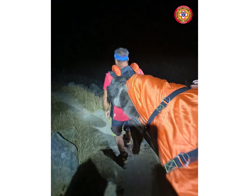 ‘Il cane è stanco’, il Soccorso alpino lo recupera in barella