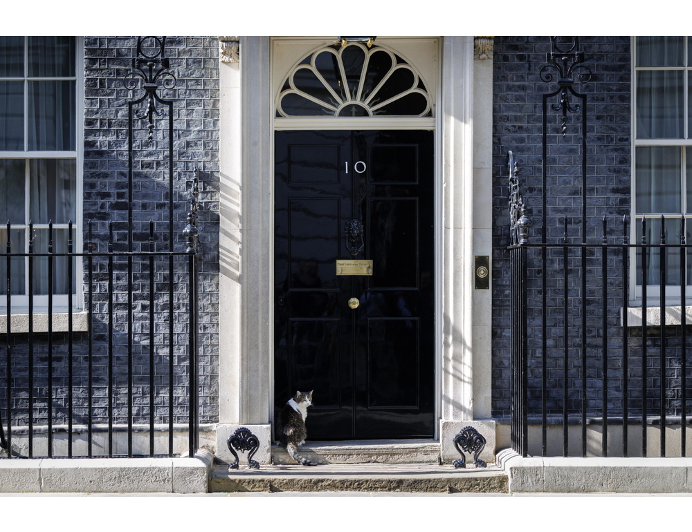 Il vecchio gatto Larry attende Burnham, la stabilità a Downing Street è lui