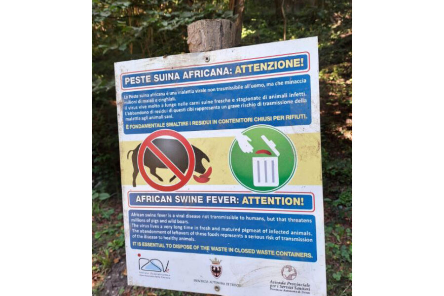 Inoltre la Forestale potrà avvalersi dei cacciatori per i controlli sul territorio