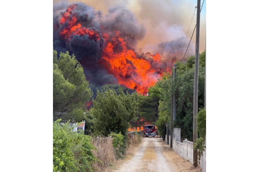 A Padula Bianca - Rivabella a Gallipoli incendio a ridosso delle abitazioni